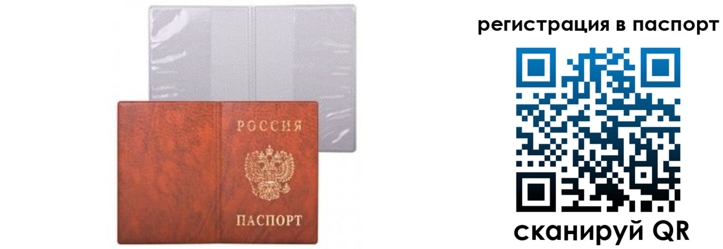прописка ребенка в Лыткарино